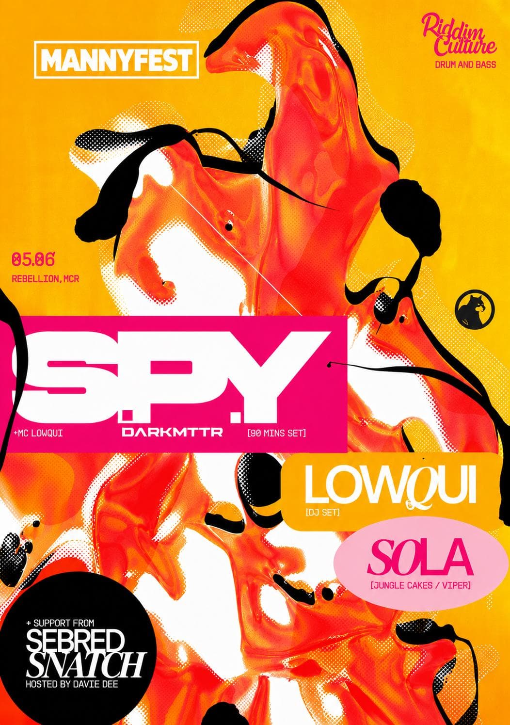 S.P.Y poster